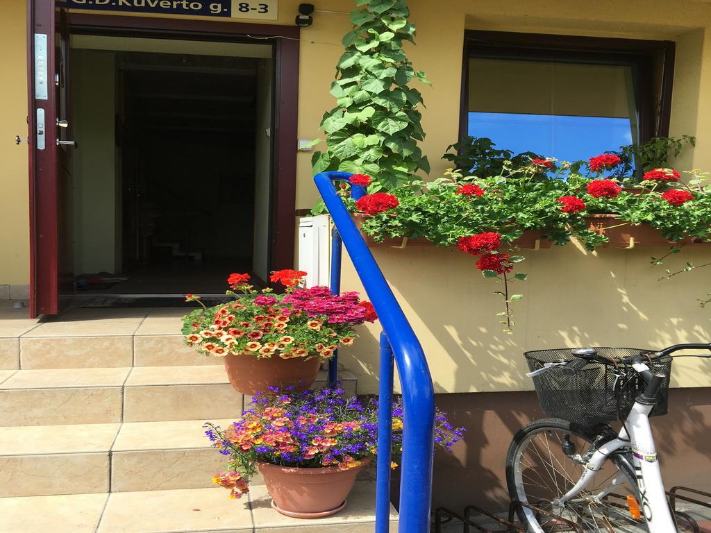 Apartamentai Viktorija Nida Luaran gambar